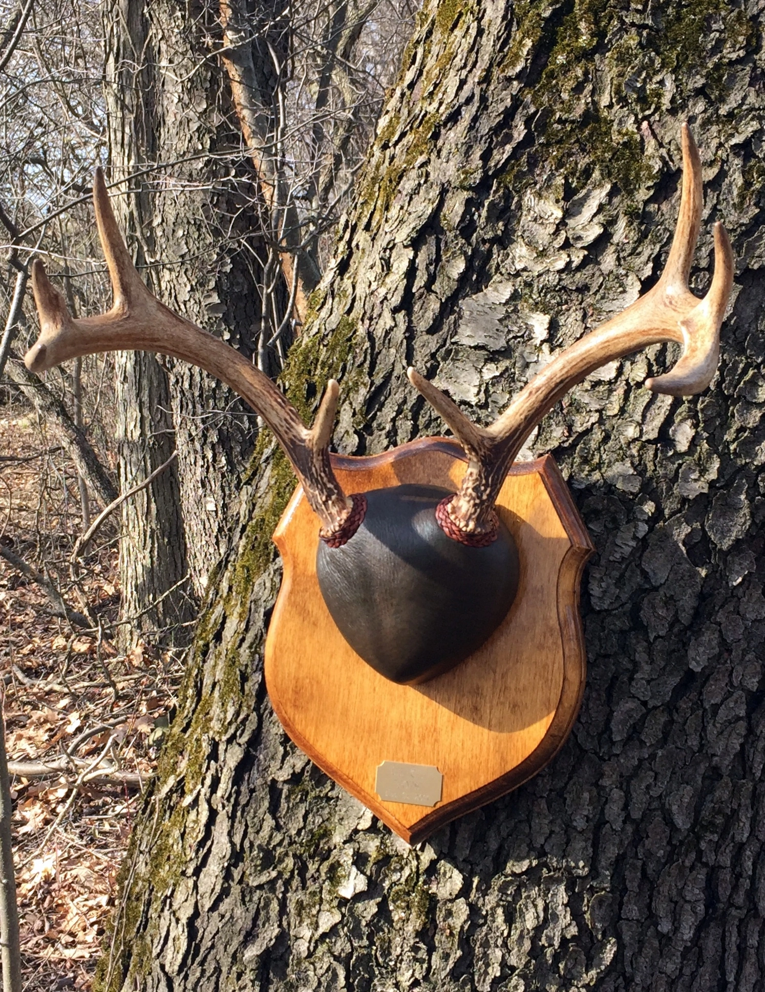 Antler mount