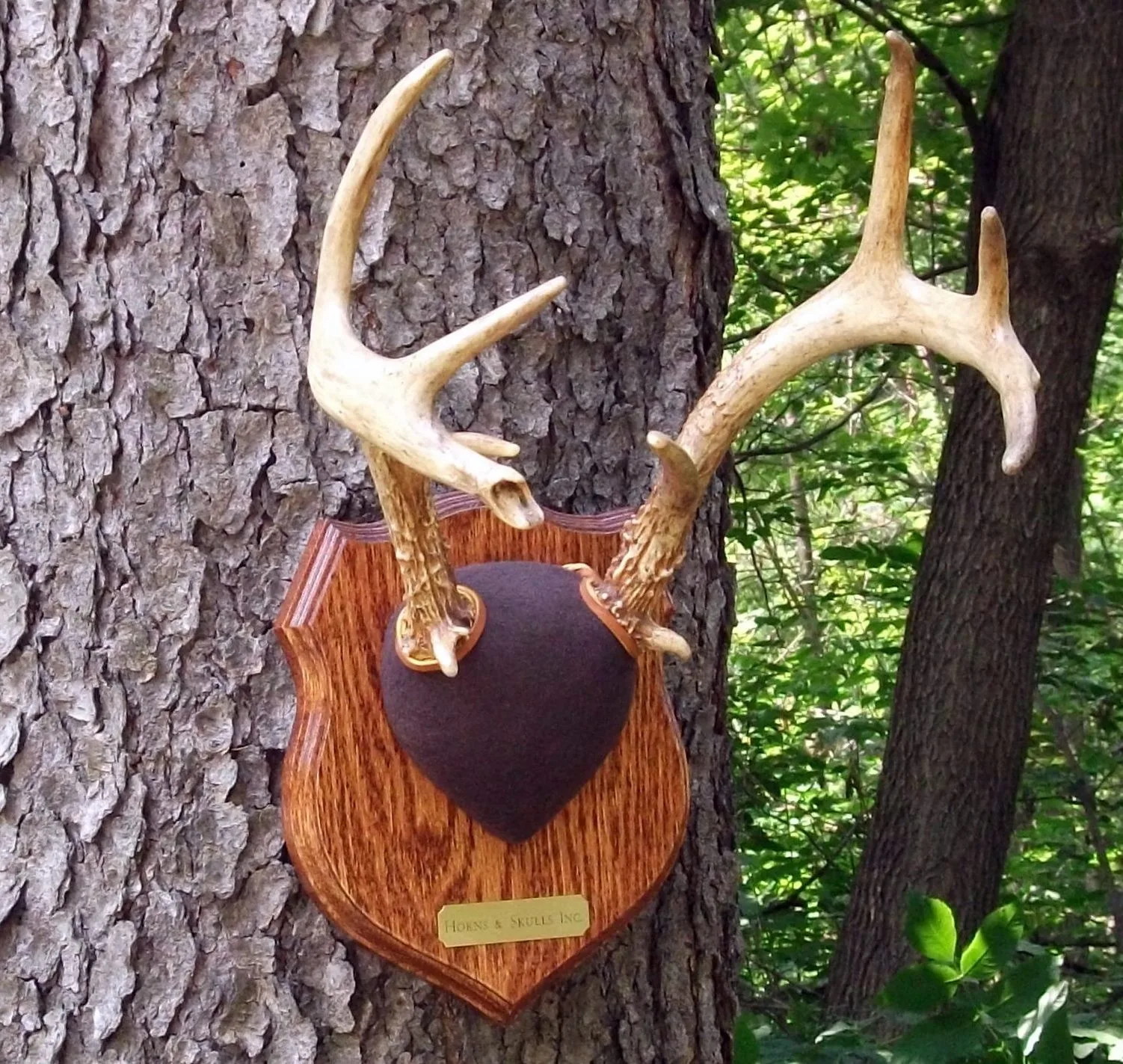 Antler mount