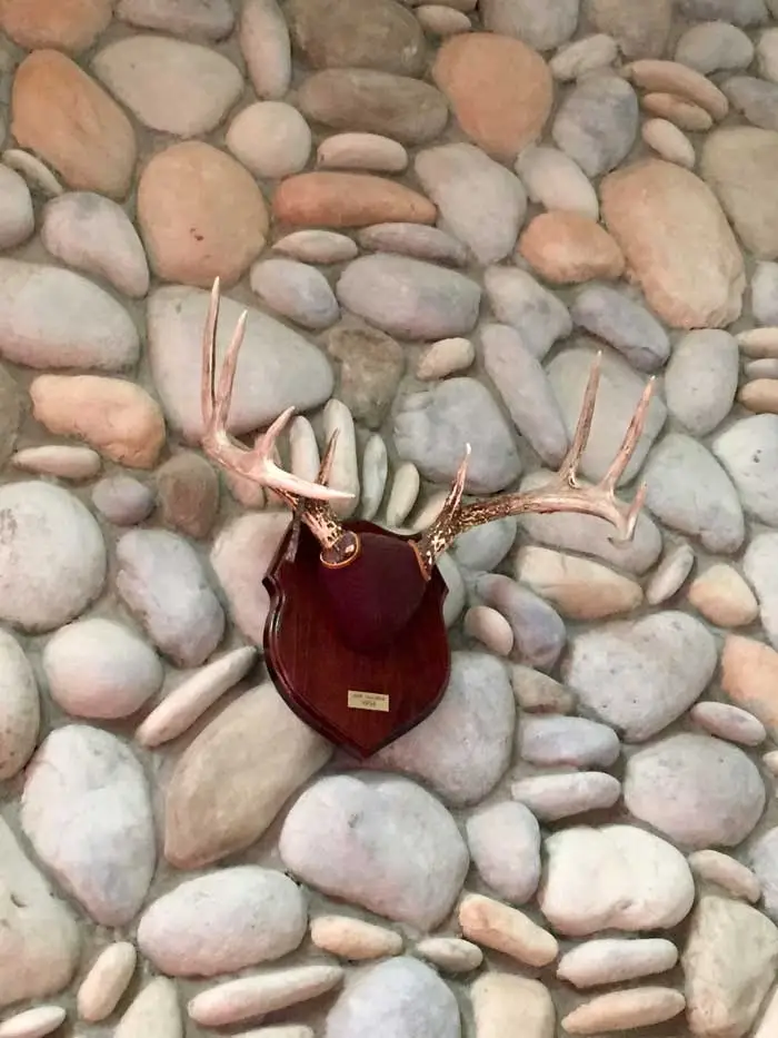 Antler mount